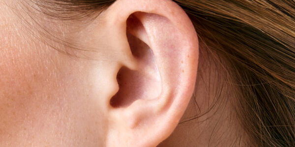 Ear